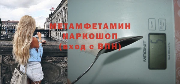 индика Балабаново