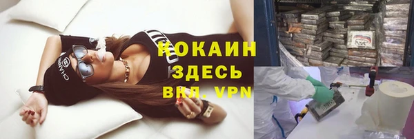 индика Балабаново