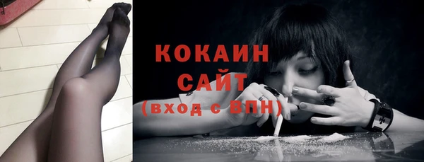 индика Балабаново