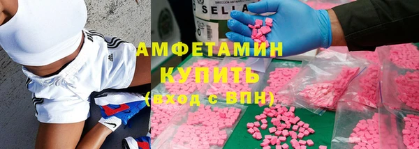 индика Балабаново