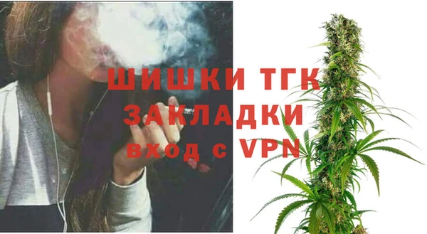 индика Балабаново