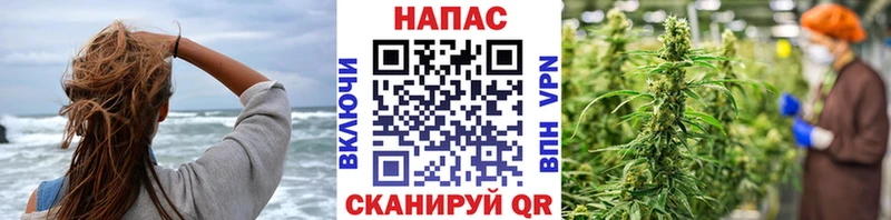 что такое   Усть-Катав  МАРИХУАНА Ganja 